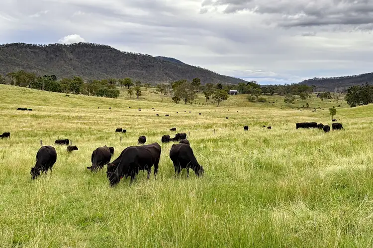 "The Tops" 4831 Tablelands Road, Tablelands QLD 4680