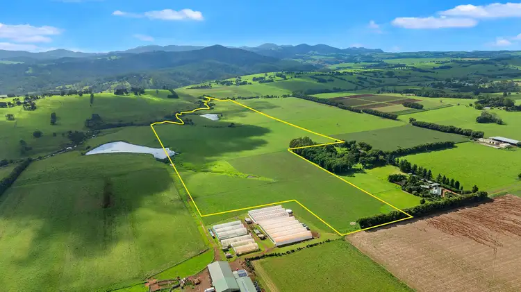 64 Darley And Bains Road, North Dorrigo NSW 2453