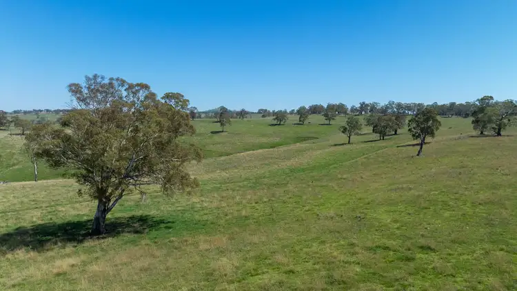 Second view of Homely rural property listing, 1006 Green Hills Road, Guyra NSW 2365
