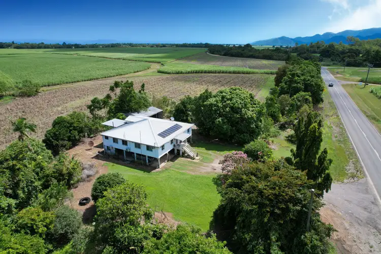 484 Halifax-Bemerside Road, Macknade QLD 4850
