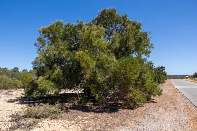 Fifth view of Homely land listing, Lot 168 Jurien Bay Vista, Jurien Bay WA 6516