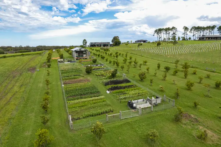 11 Coolangatta Road, Coolangatta NSW 2535