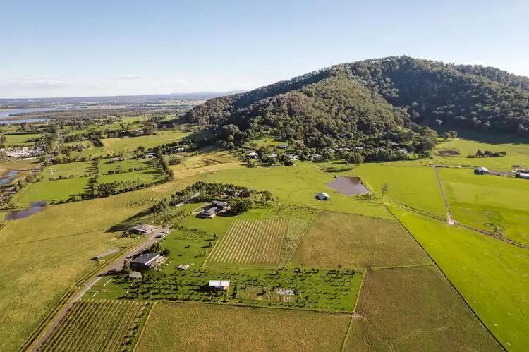 Third view of Homely rural property listing, 11 Coolangatta Road, Coolangatta NSW 2535