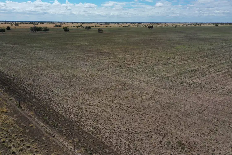 Third view of Homely rural property listing, 13724 Mitchell - St George Road, St George QLD 4487