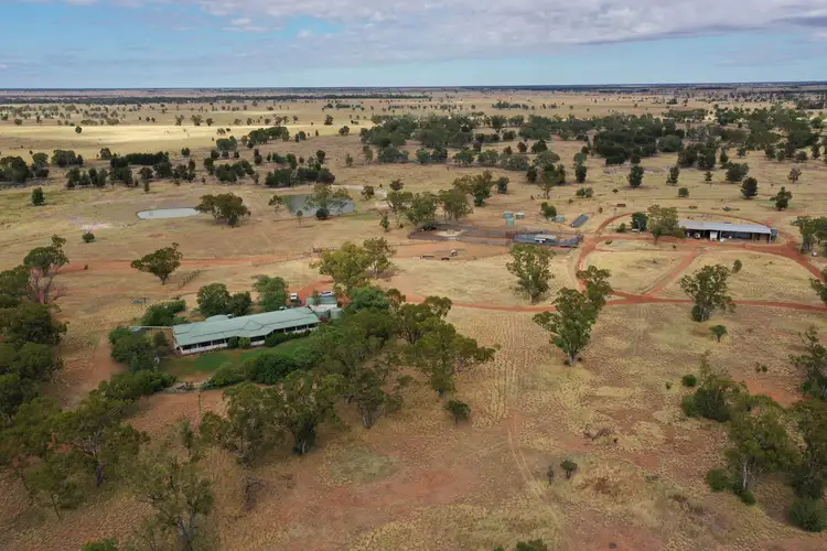 Fourth view of Homely rural property listing, 13724 Mitchell - St George Road, St George QLD 4487