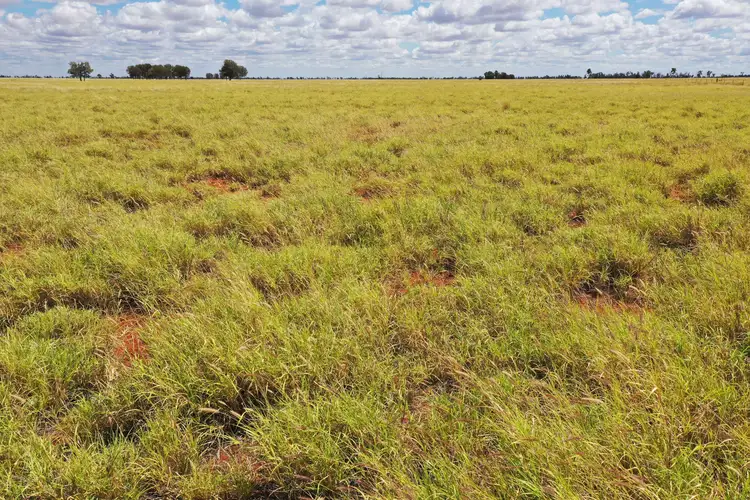 Seventh view of Homely rural property listing, 13724 Mitchell - St George Road, St George QLD 4487