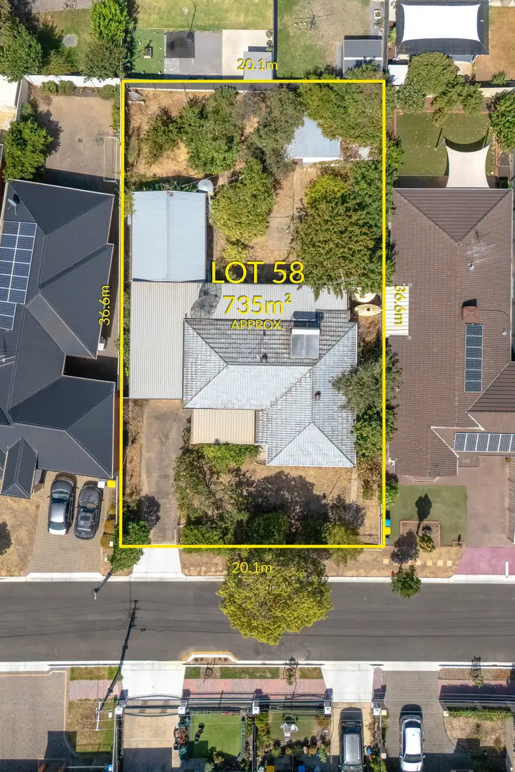 12 Tyrone Avenue, Campbelltown SA 5074