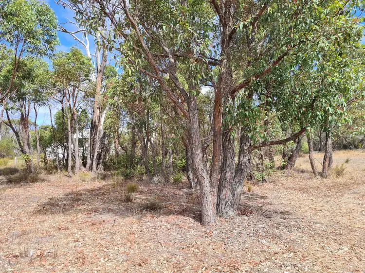 Third view of Homely land listing, LOT 23, 43 Trimmer Street, Tenterden WA 6322