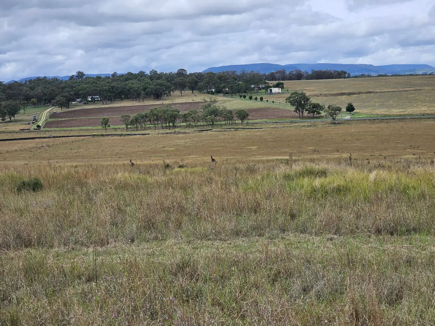 Main view of Homely land listing, 0 Jack Smith Gully Road, Swan Creek QLD 4370