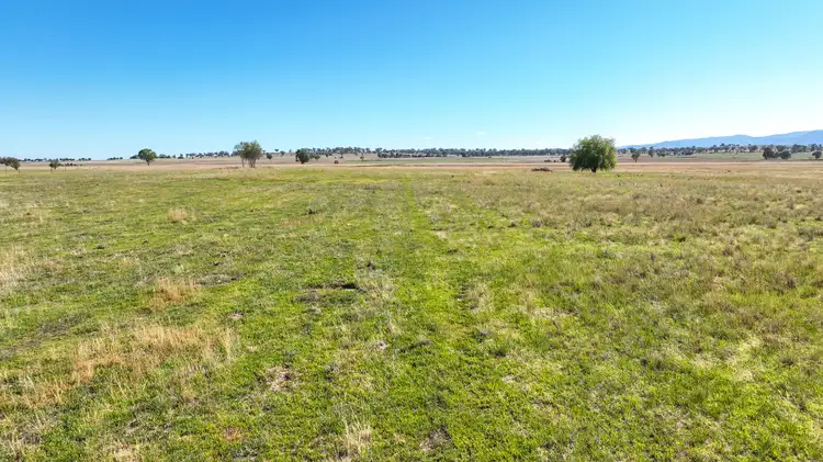 Seventh view of Homely rural property listing, 340 Old Winton Road, Tamworth NSW 2340
