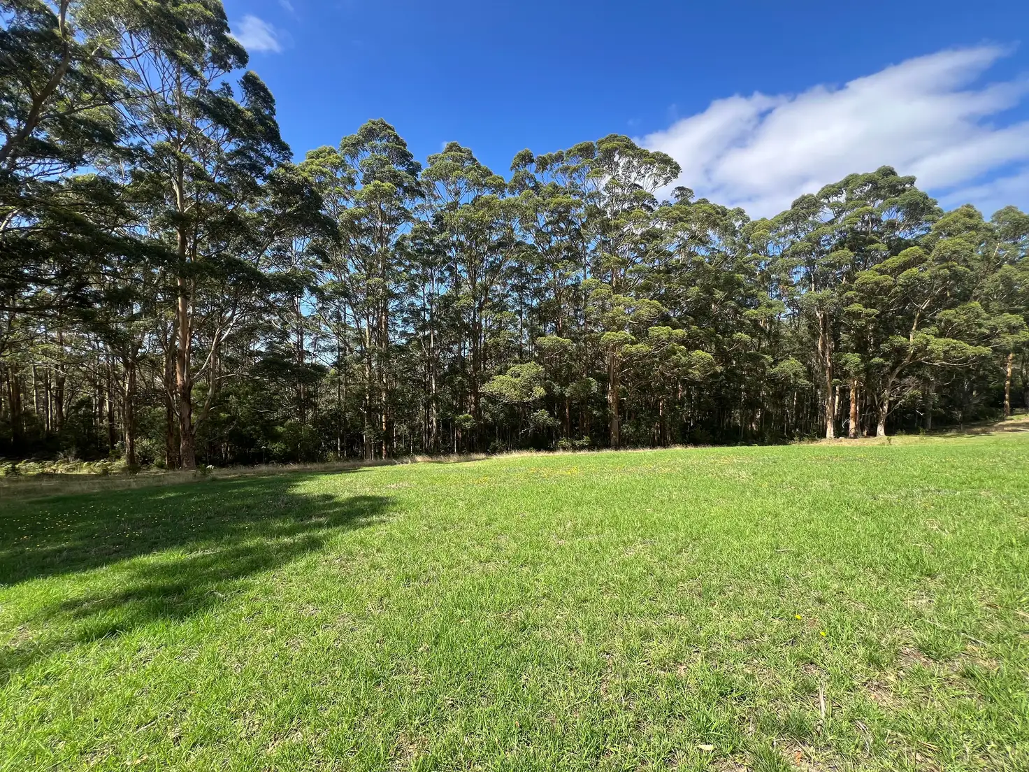 Main view of Homely rural property listing, 37 Pittam Way, Shadforth WA 6333