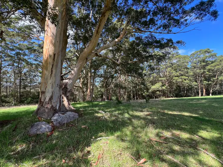 Third view of Homely rural property listing, 37 Pittam Way, Shadforth WA 6333