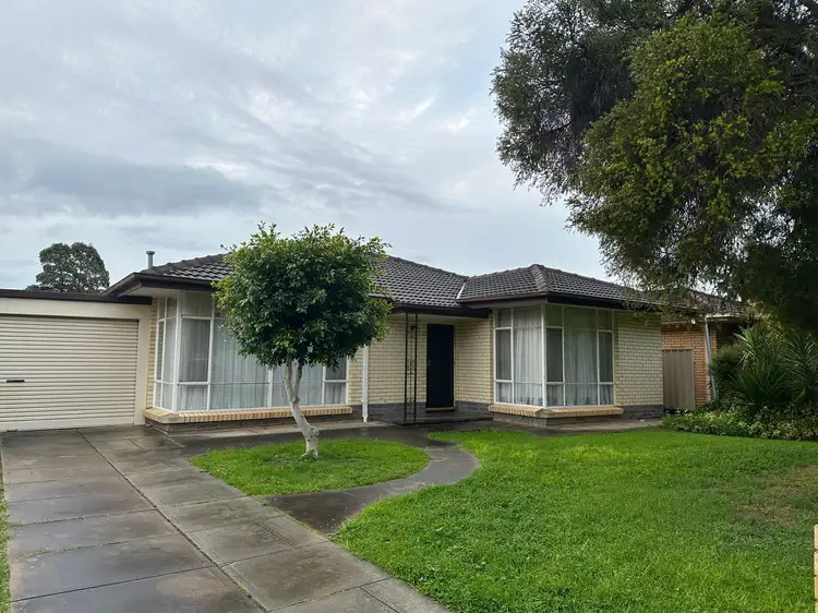 5 Arcadia Avenue, Paradise SA 5075