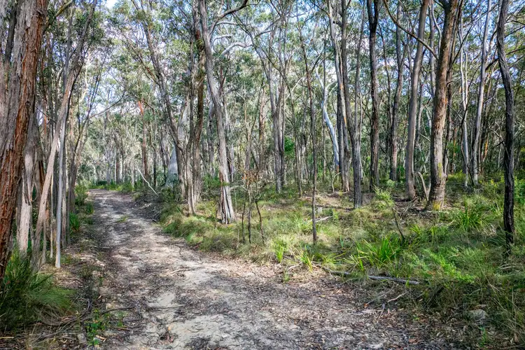 Second view of Homely land listing, 155 Mill Creek Road, Kanimbla NSW 2790