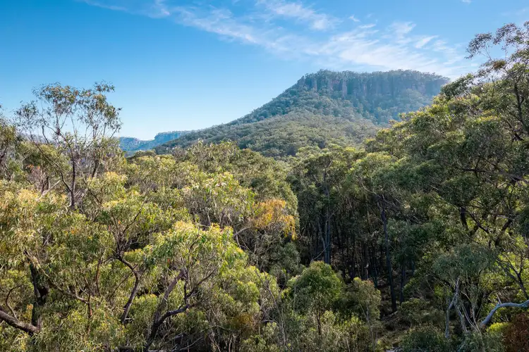 Fourth view of Homely land listing, 155 Mill Creek Road, Kanimbla NSW 2790