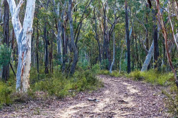 Fifth view of Homely land listing, 155 Mill Creek Road, Kanimbla NSW 2790