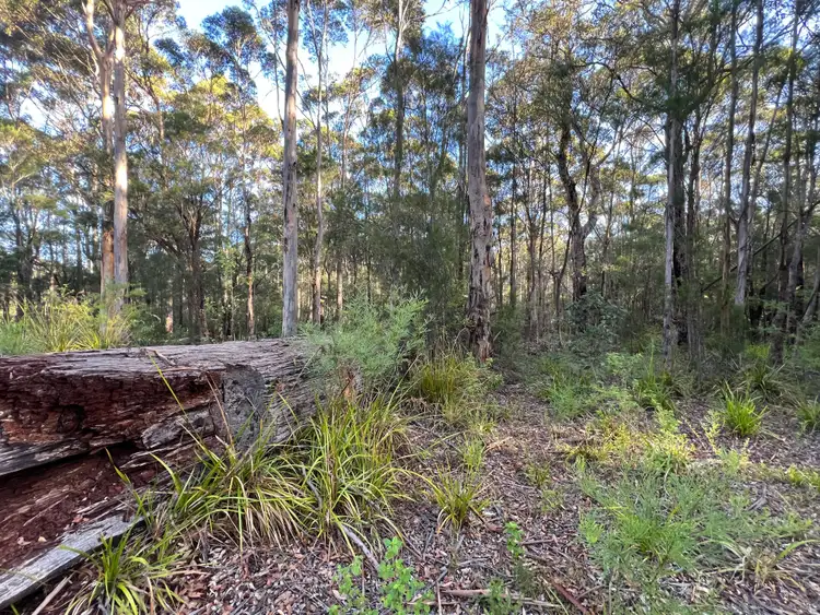 Fourth view of Homely rural property listing, 71 Karri Drive, Kentdale WA 6333