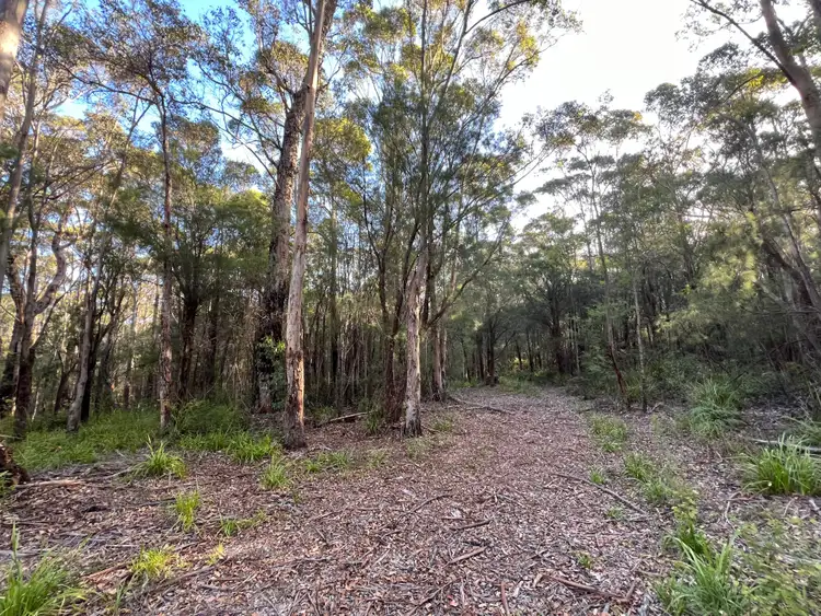 Seventh view of Homely rural property listing, 71 Karri Drive, Kentdale WA 6333