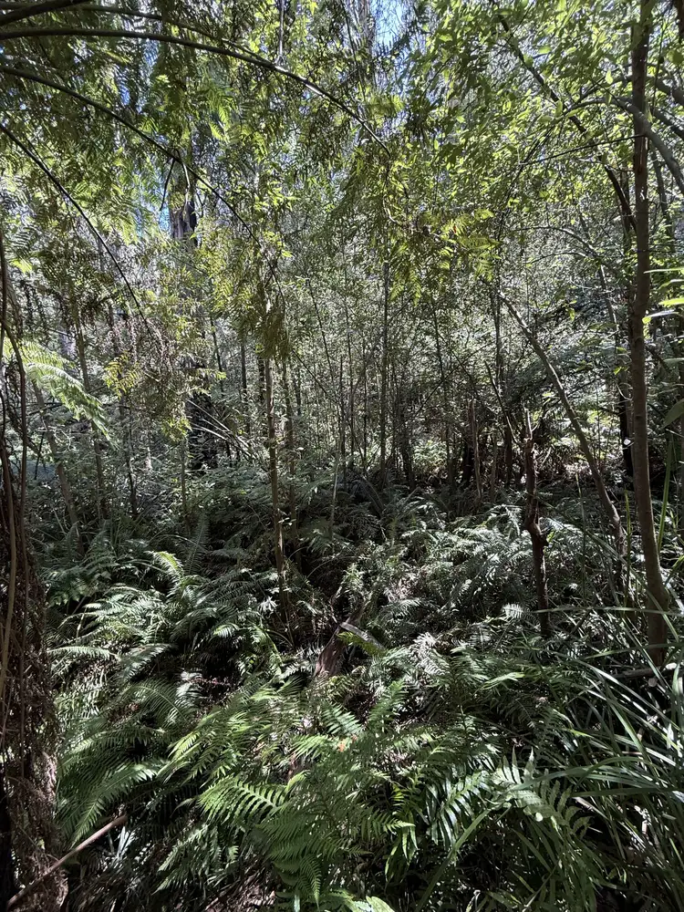 Third view of Homely land listing, 355 Ninks Road, St Andrews VIC 3761