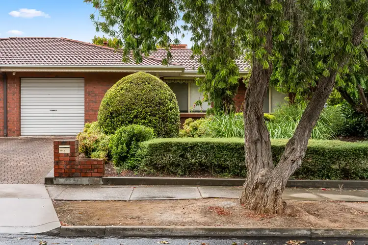 3/2-4 Scott Street, Firle SA 5070