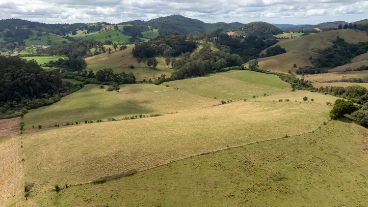 Main view of Homely rural property listing, 1100 Coramba Road, Megan NSW 2453