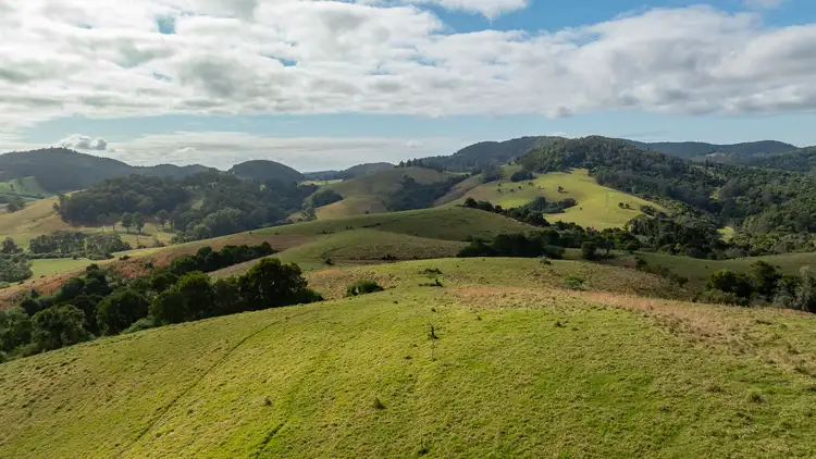 Sixth view of Homely rural property listing, 1100 Coramba Road, Megan NSW 2453