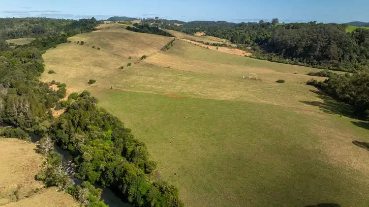 Seventh view of Homely rural property listing, 1100 Coramba Road, Megan NSW 2453