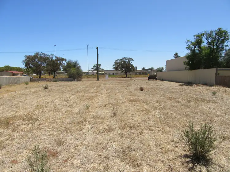Fifth view of Homely land listing, 1 Hall Street, Three Springs WA 6519