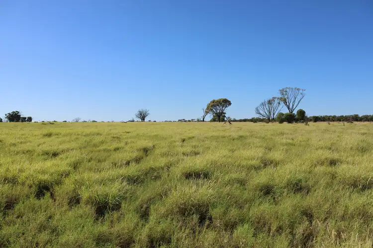 1468 Benlidi Idalia Road, Blackall QLD 4472
