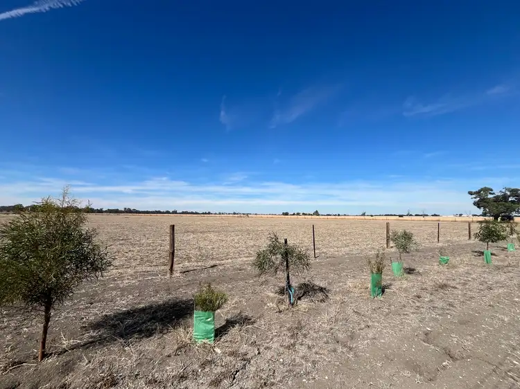 Third view of Homely land listing, Proposed Lot Pigeon Flat Road, Bordertown SA 5268
