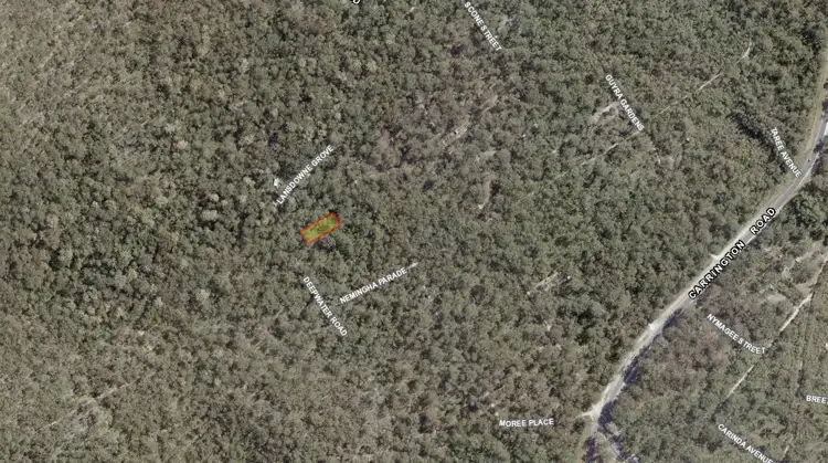 Lot 364 Deepwater Road, North Arm Cove NSW 2324