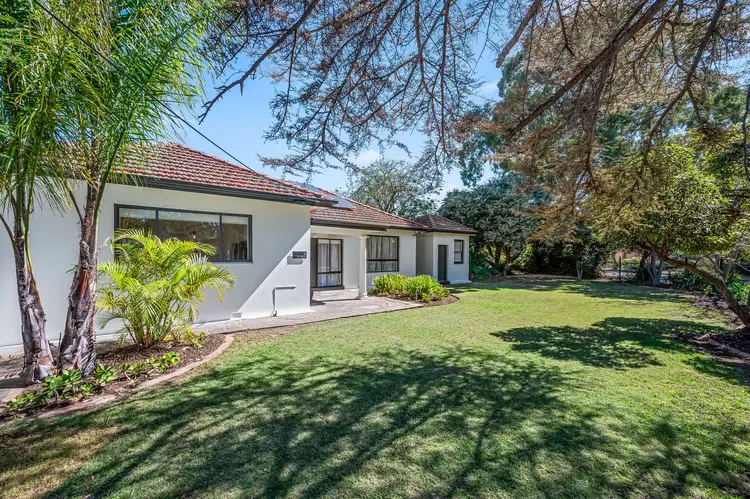 6 Tait Avenue, Marion SA 5043