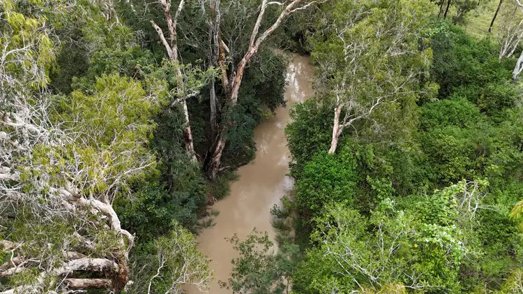 Sixth view of Homely rural property listing, 154 Nimmitabel Road, St Lawrence QLD 4707