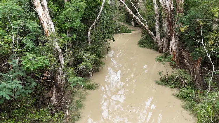 Seventh view of Homely rural property listing, 154 Nimmitabel Road, St Lawrence QLD 4707