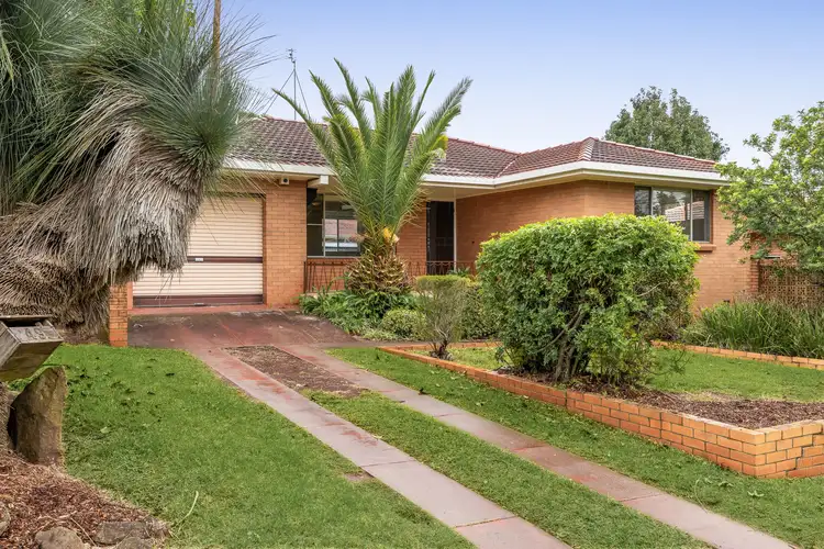 49 Debra Street, Centenary Heights QLD 4350
