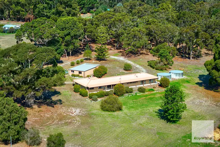 19 Silverstar Court