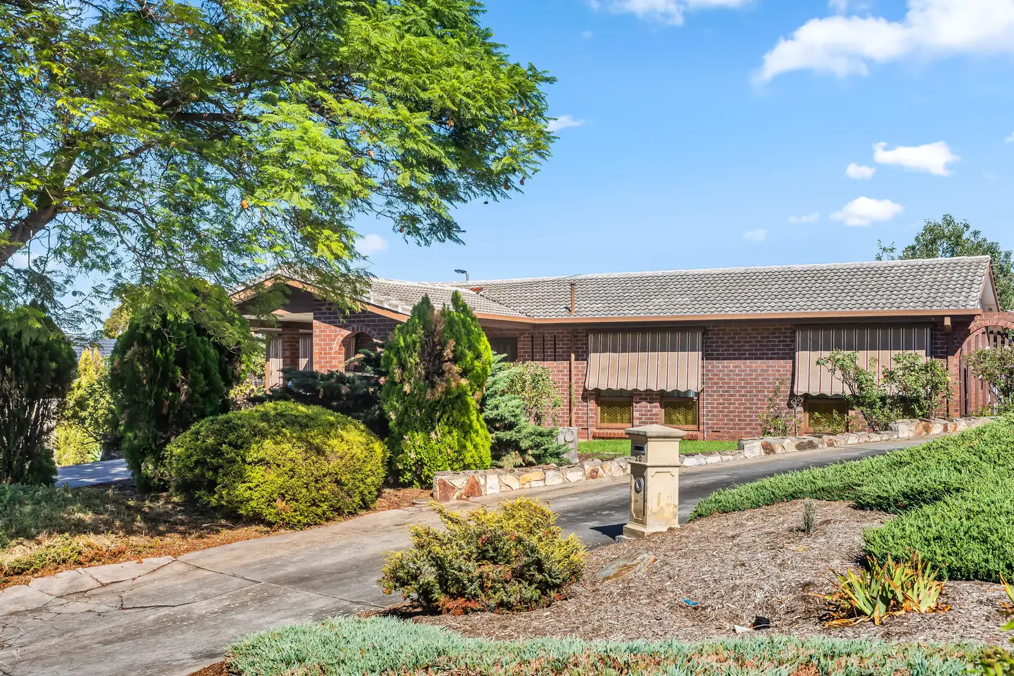 Main view of Homely house listing, 18 Carole Crescent, Modbury SA 5092