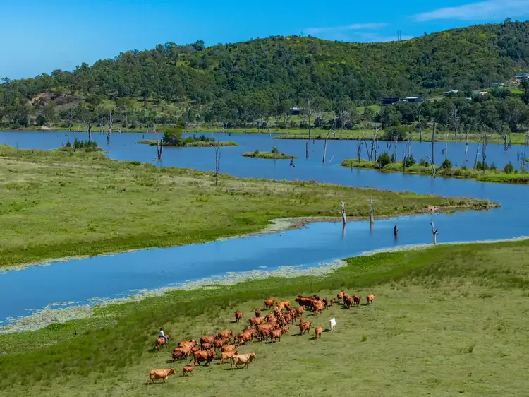 Sixth view of Homely rural property listing, 105 Westvale Road, Mount Archer QLD 4514