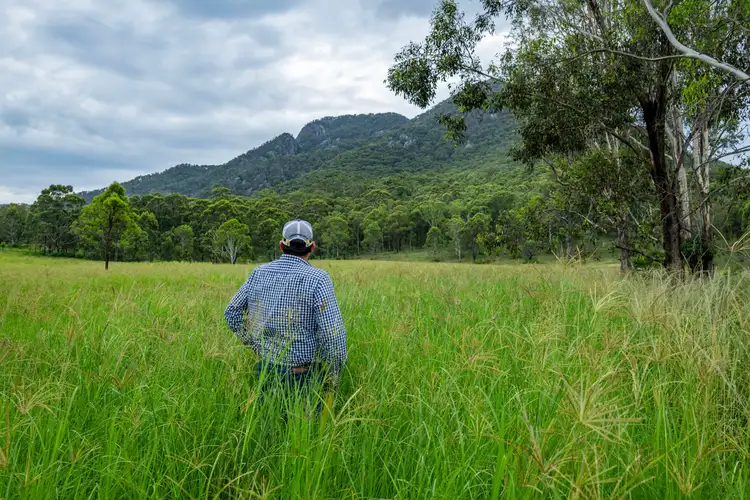 Third view of Homely rural property listing, 503 Croftby Road, Croftby QLD 4310