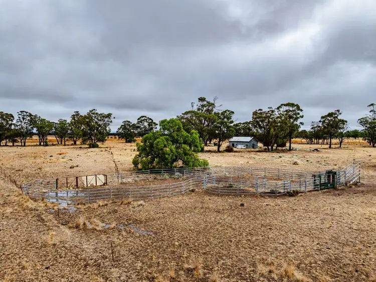 Fourth view of Homely rural property listing, 'Woroona' & 'Tralee' 936 Boorr Hill Road, Parkes NSW 2870