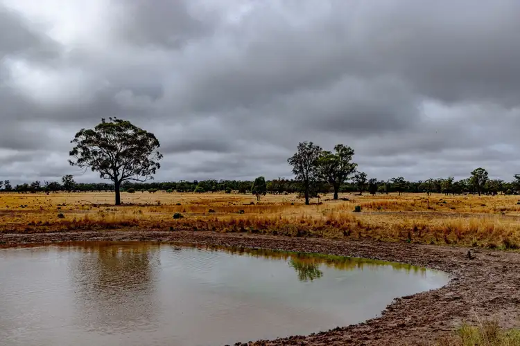 Sixth view of Homely rural property listing, 'Woroona' & 'Tralee' 936 Boorr Hill Road, Parkes NSW 2870