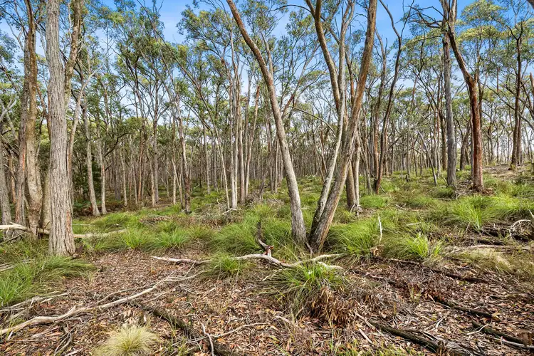 Fourth view of Homely land listing, 90 Miners Hut Road, Smythesdale VIC 3351