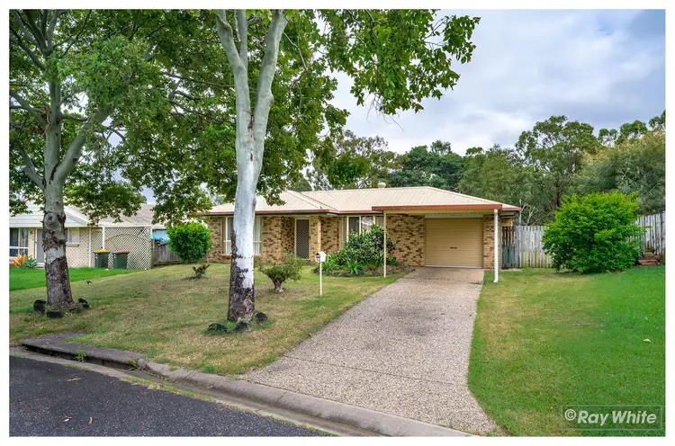 12 Brigalow Avenue, Norman Gardens QLD 4701