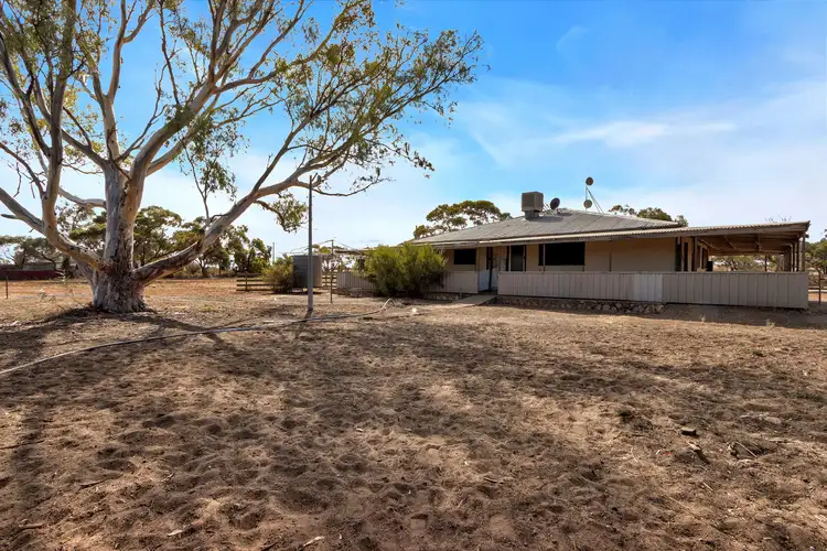 Fourth view of Homely house listing, 70 East Road, Robertstown SA 5381