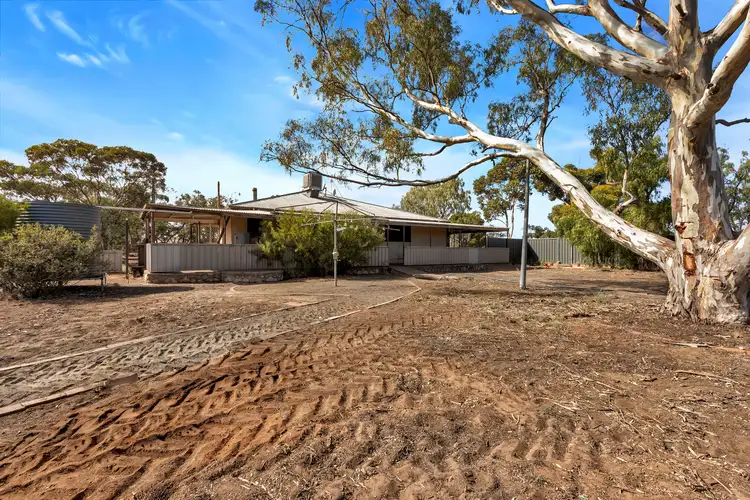 Fifth view of Homely house listing, 70 East Road, Robertstown SA 5381