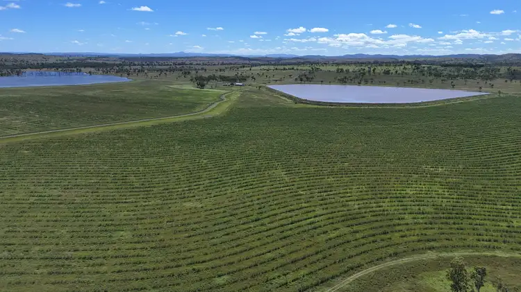 Third view of Homely rural property listing, "Yetton" Burnett Highway, Gayndah QLD 4625