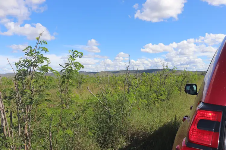 Sixth view of Homely rural property listing, "Yetton" Burnett Highway, Gayndah QLD 4625