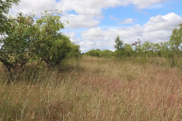 Seventh view of Homely rural property listing, "Yetton" Burnett Highway, Gayndah QLD 4625