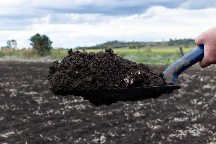 Fourth view of Homely land listing, Lot 5 Oakey-Pittsworth Road, Aubigny QLD 4401