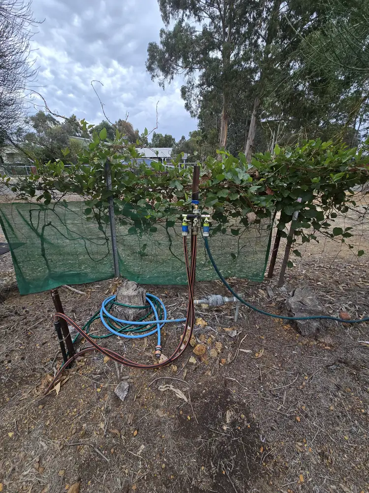 Fourth view of Homely land listing, LOT 787, 68 Seventh Avenue, Kendenup WA 6323